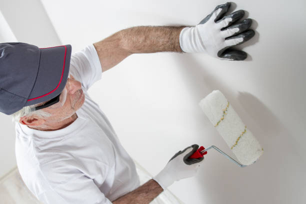 Best Attic Mold Removal  in Franklin, NH