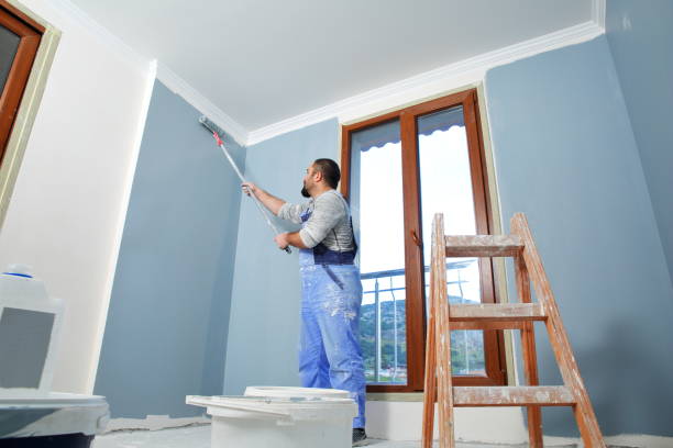 Best Mold Remediation for Healthcare Facilities  in Franklin, NH