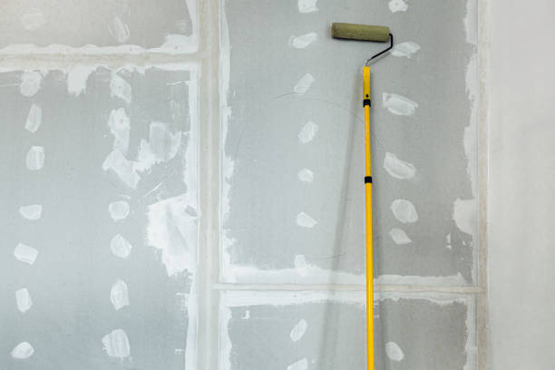 Mold Remediation for Vacation Homes in Franklin, NH