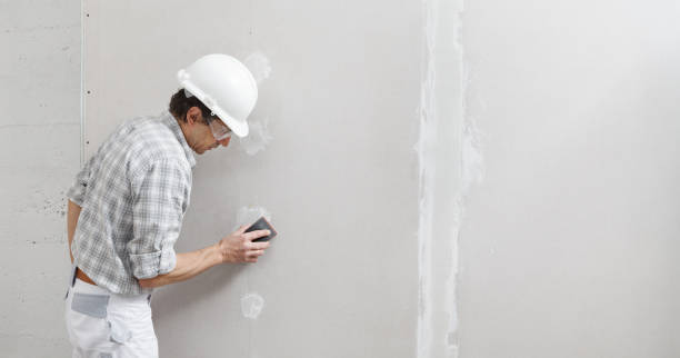 Best Black Mold Removal  in Franklin, NH