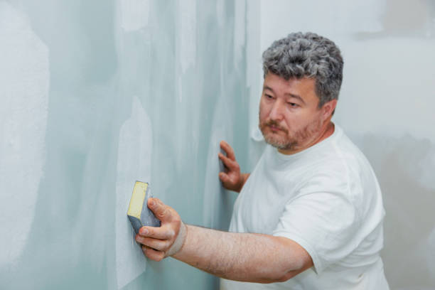 Best Comprehensive Air Testing for Mold Contaminants  in Franklin, NH