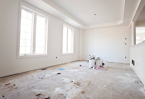 Professional Mold Removal in Franklin, NH