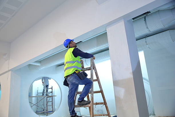 Best Post-Construction Mold Inspection  in Franklin, NH